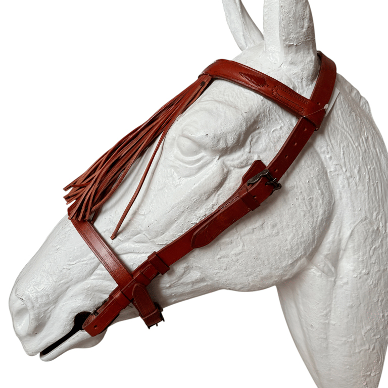 Cabezada vaquera alomada IS con hebilla de fragua inoxidable premium