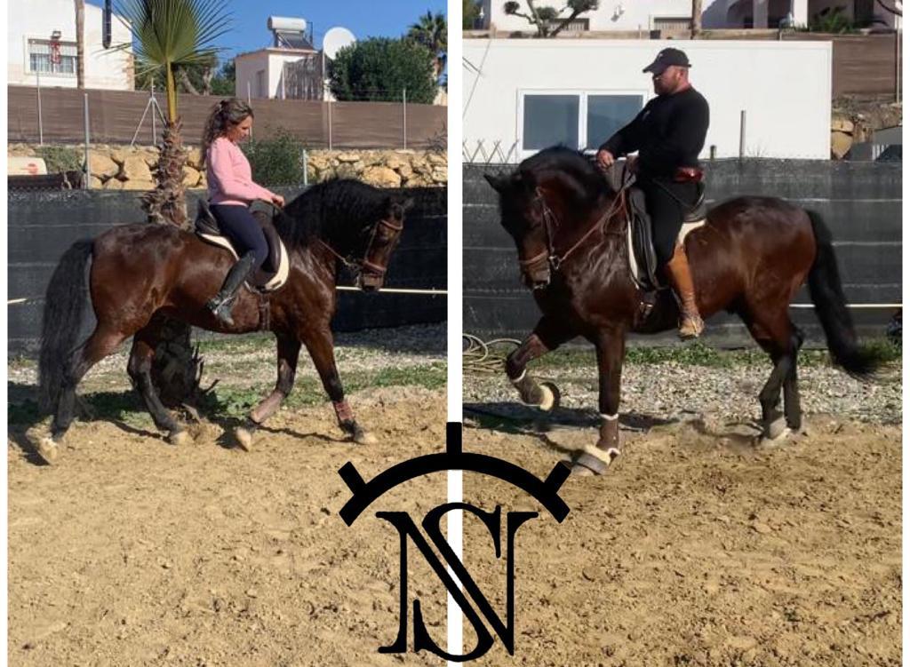 Conoce el Ranchito de Manuela